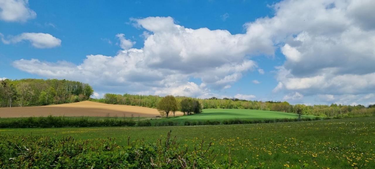 Appartamento Landgoed Kasteel Terborgh Schinnen Esterno foto